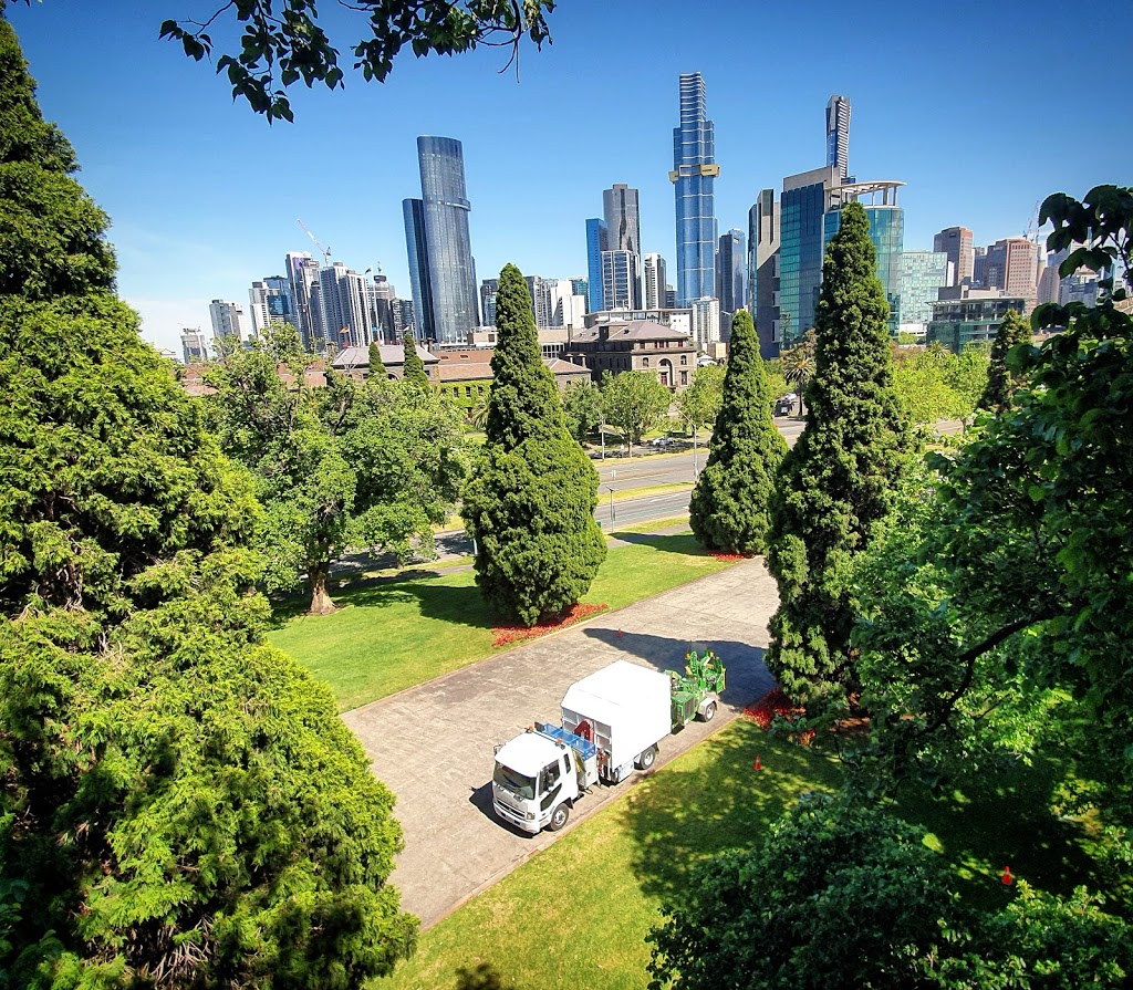 Precise Tree Services pty Ltd. | Kew, Kew East VIC 3102, Australia | Phone: 0499 440 084