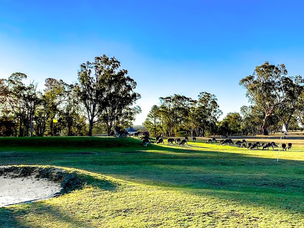 Stanthorpe Golf Course | 54 Amosfield Rd, Stanthorpe QLD 4380, Australia | Phone: (07) 4681 1276