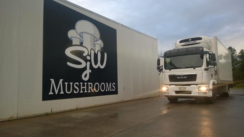 SjW Mushrooms | 50 Cruice Dr, Woodford QLD 4514, Australia | Phone: (07) 5422 9205