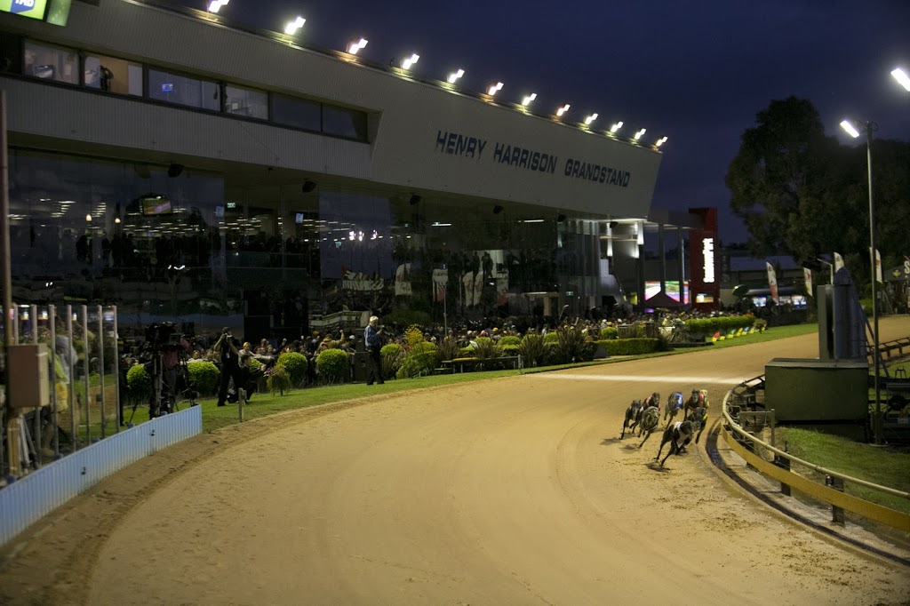 Sandown Greyhound Racing Club | stadium | View Rd, Springvale VIC 3171, Australia | 0395469511 OR +61 3 9546 9511