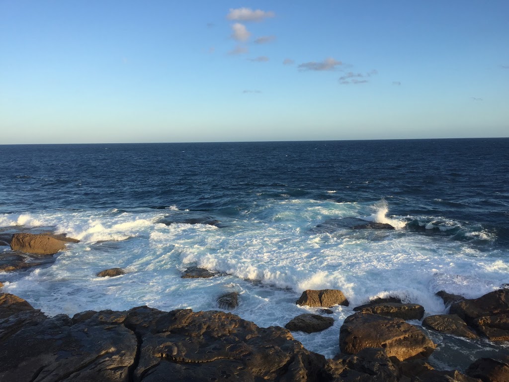 Ray OKeefe Reserve | park | North Bondi NSW 2026, Australia