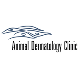 Animal Dermatology Clinic | veterinary care | 58 Cockburn Rd, Albany WA 6330, Australia | 0893607387 OR +61 8 9360 7387