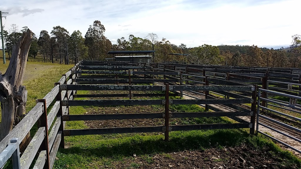 Dungog Saleyards | Short St, Dungog NSW 2420, Australia | Phone: (02) 4992 1704