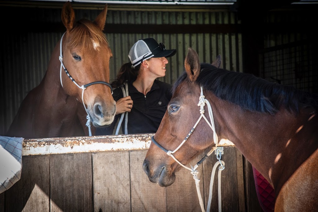 AK Equine | 310 Left Bank Rd, Mullumbimby NSW 2482, Australia | Phone: 0413 959 708
