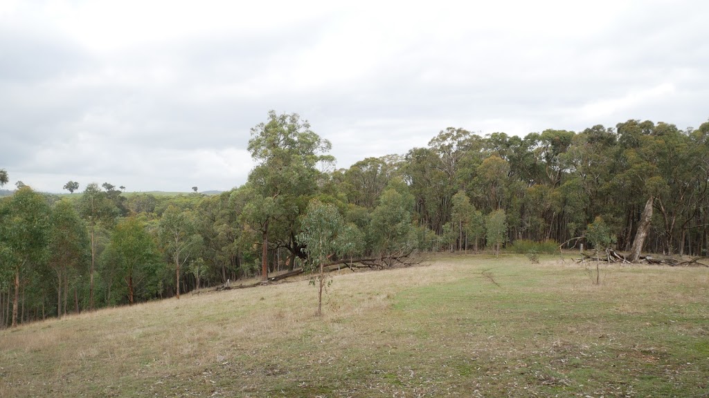 Warrandyte - Kinglake Nature Conservation Reserve - Meadow | park | Unnamed Road, Smiths Gully VIC 3760, Australia
