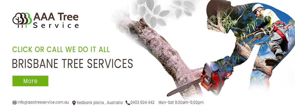 AAA Tree Services | 71A Rosemary St, Bellbird Park QLD 4300, Australia | Phone: 0423 660 030