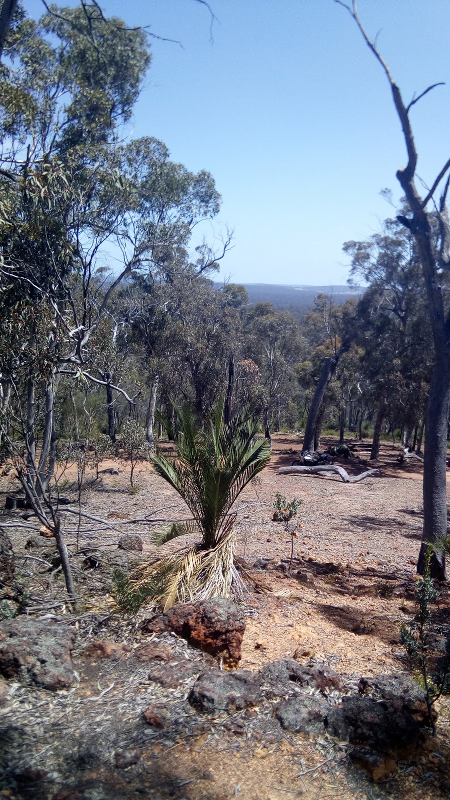 Wandoo National Park | park | Catchment Rd, Mount Observation WA 6302, Australia | 0892906100 OR +61 8 9290 6100