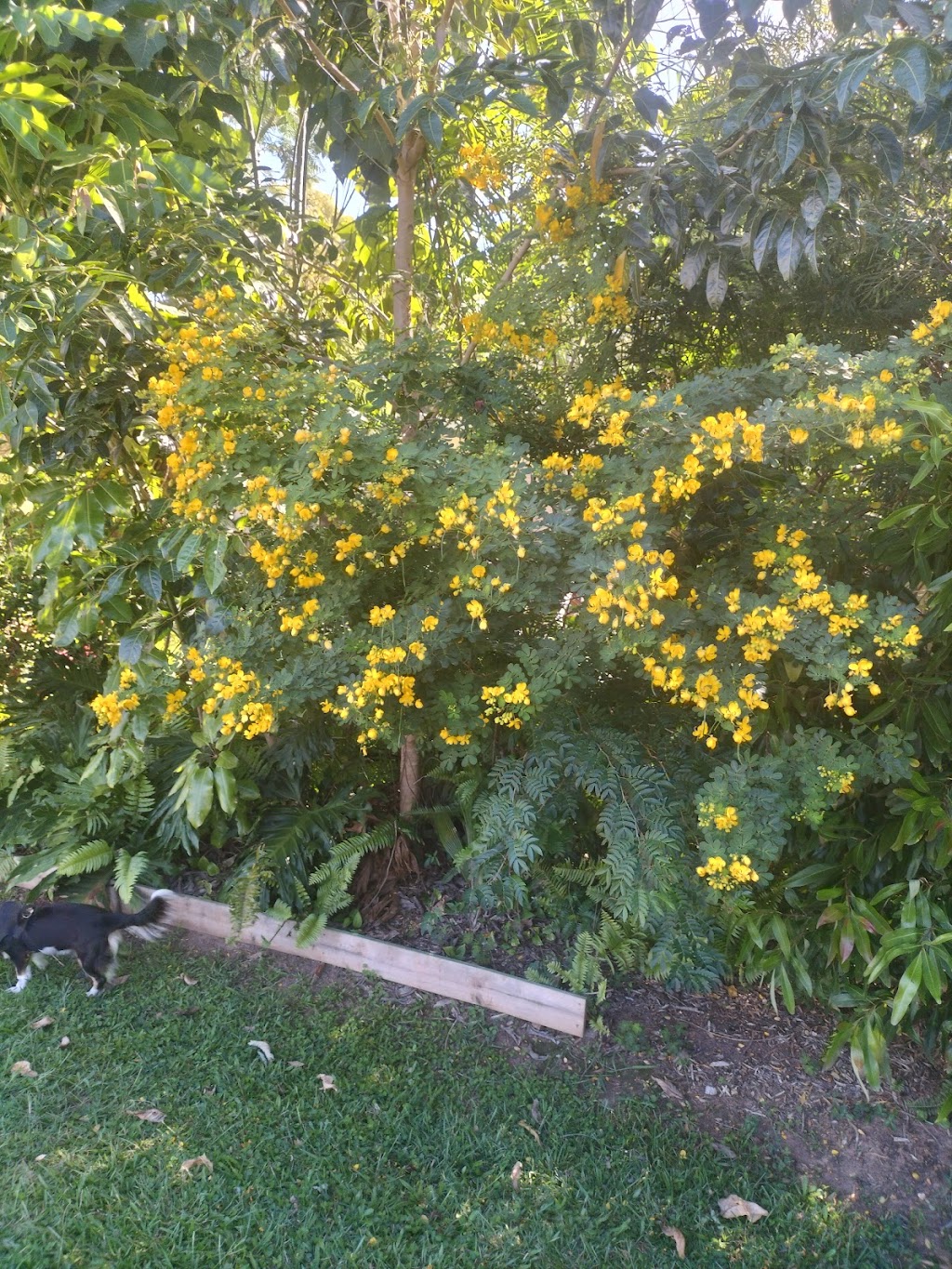 Running Wild Outdoors | 172 High St, Russell Island QLD 4184, Australia | Phone: 0473 435 086