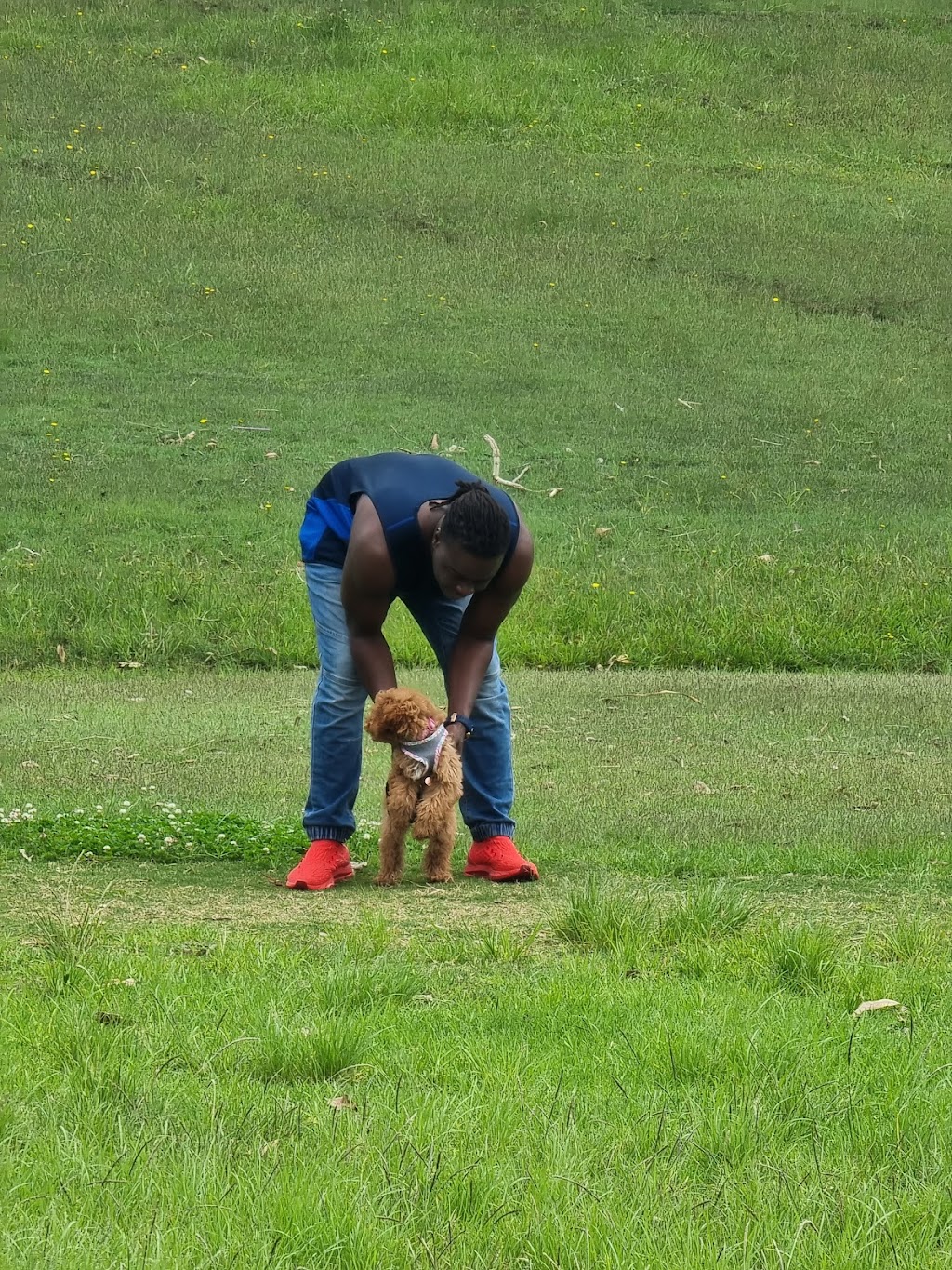 Eastern Road Oval | Killarney Vale NSW 2261, Australia | Phone: (02) 4350 5555