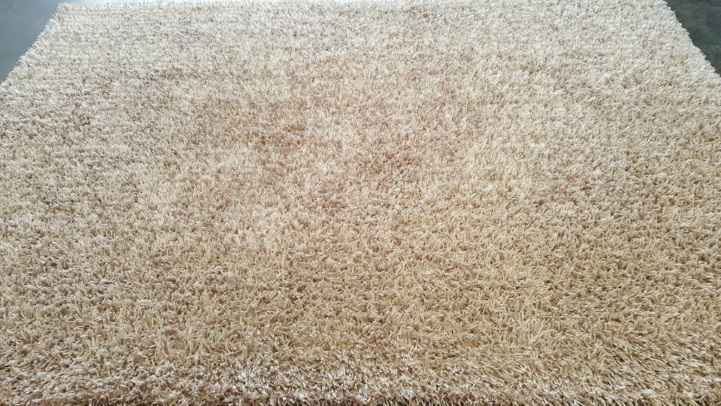 Aladdins Rug Cleaning | Evans St, Wollongong NSW 2500, Australia | Phone: (02) 4227 5454