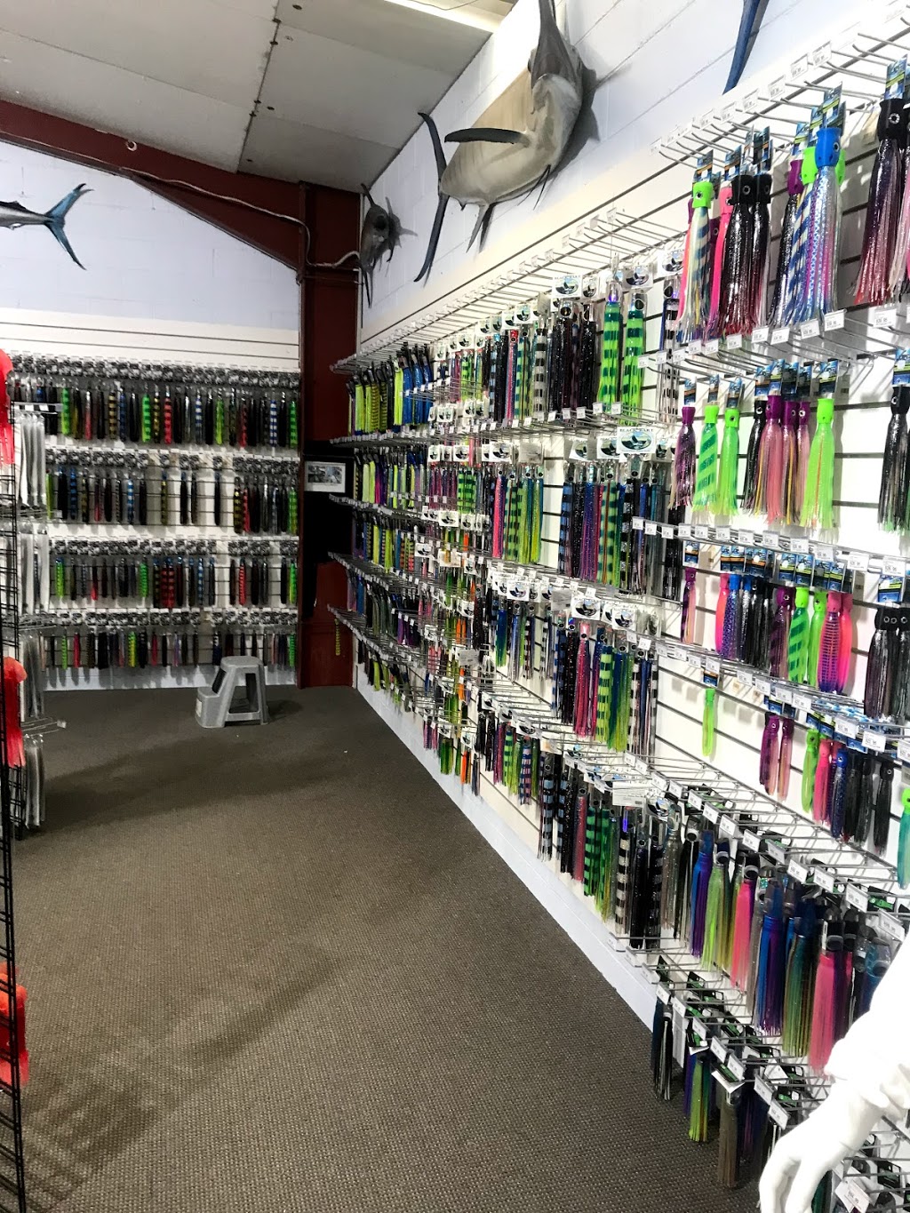 MOTackle & Outdoors | store | 144 Pacific Hwy, Coffs Harbour NSW 2450, Australia | 0266524611 OR +61 2 6652 4611