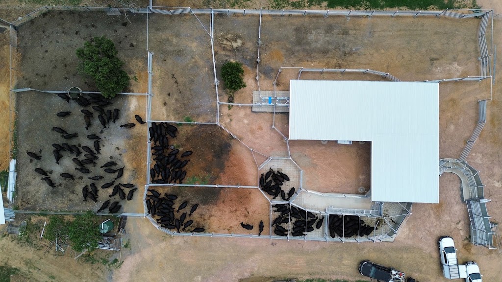 Frontier Rural Fencing | 14 Brownrigg St, Morven NSW 2660, Australia | Phone: 0408 986 474