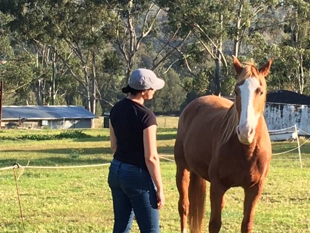 Northern Rivers Equine Assisted Psychotherapy | health | 1202 Gradys Creek Rd, Loadstone NSW 2474, Australia | 0406545652 OR +61 406 545 652