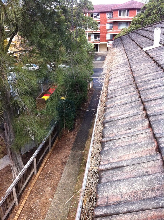 Pristine Window & Gutter Cleaning | roofing contractor | 2/125 Garden St, Narrabeen NSW 2101, Australia | 0295334476 OR +61 2 9533 4476