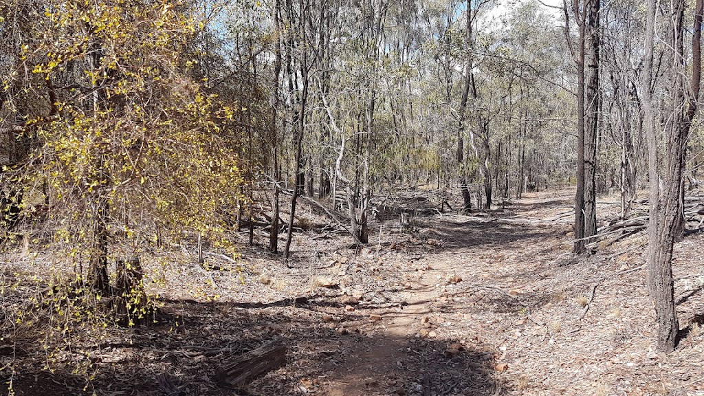 Flat Diggings Reserve Fossicking General Permission Area | Laglan Rd, Clermont QLD 4721, Australia | Phone: 1300 472 227