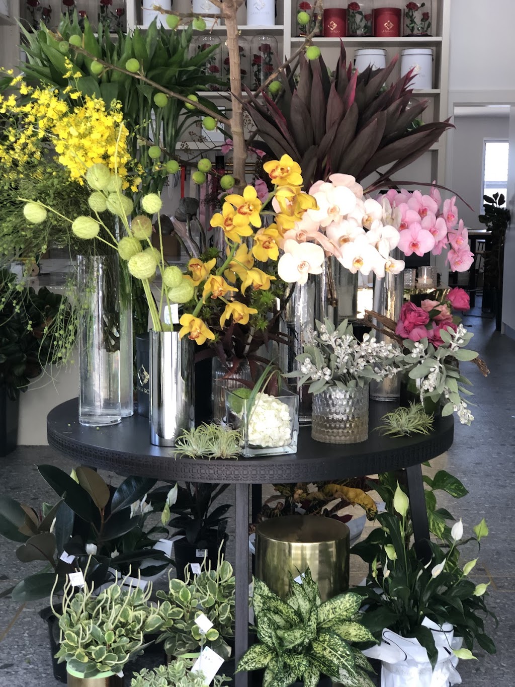 La Mia Rosa | florist | Shop 1/25 Kyle Parade, Kyle Bay NSW 2221, Australia | 0295466599 OR +61 2 9546 6599