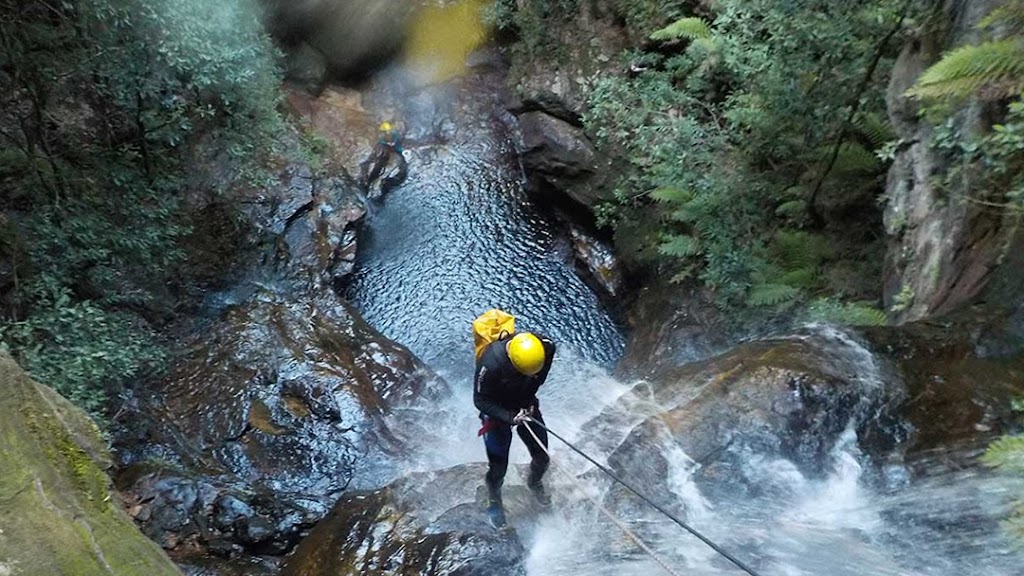 High and Wild | 207 Katoomba St, Katoomba NSW 2780, Australia | Phone: (02) 4782 6224