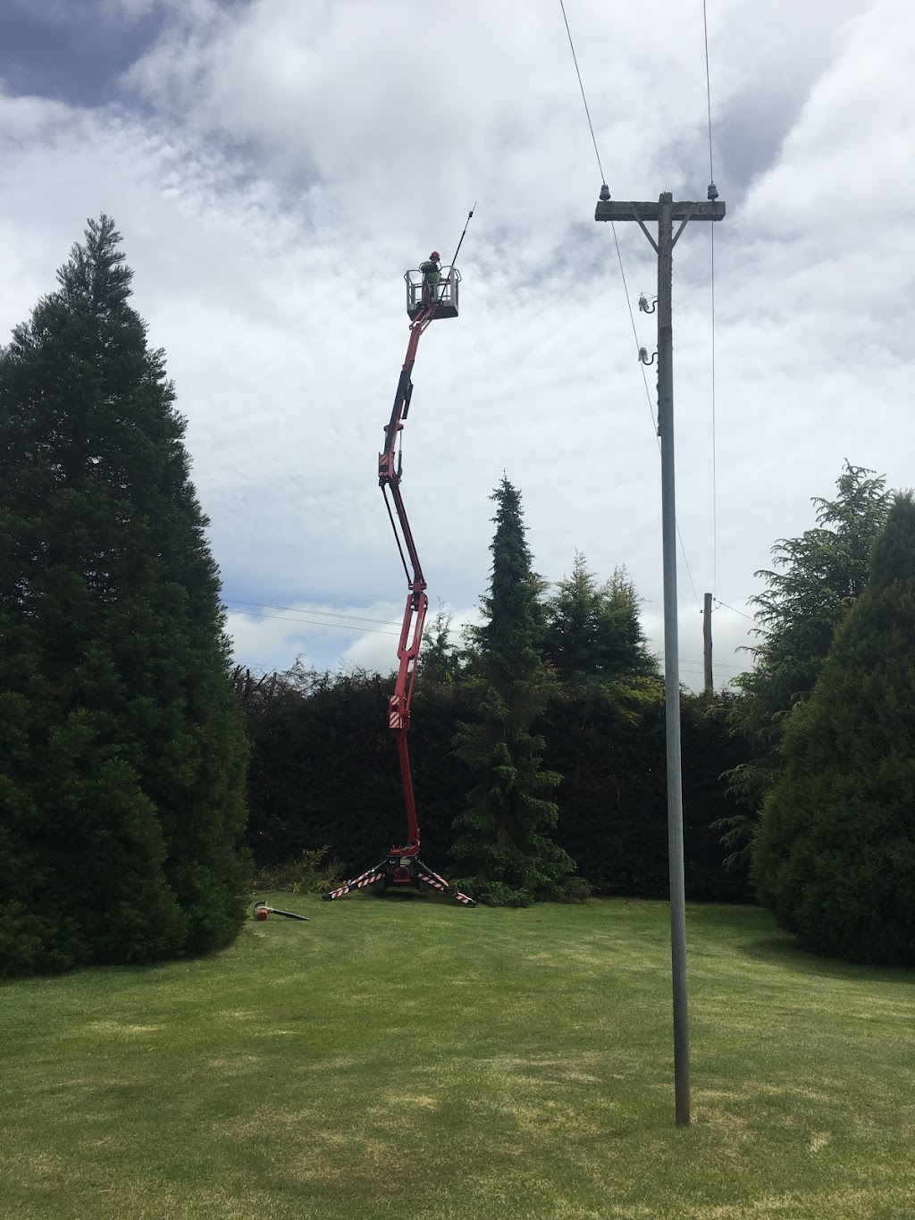 ALL TREE SOLUTIONS | East Devonport TAS 7310, Australia | Phone: 0448 043 474