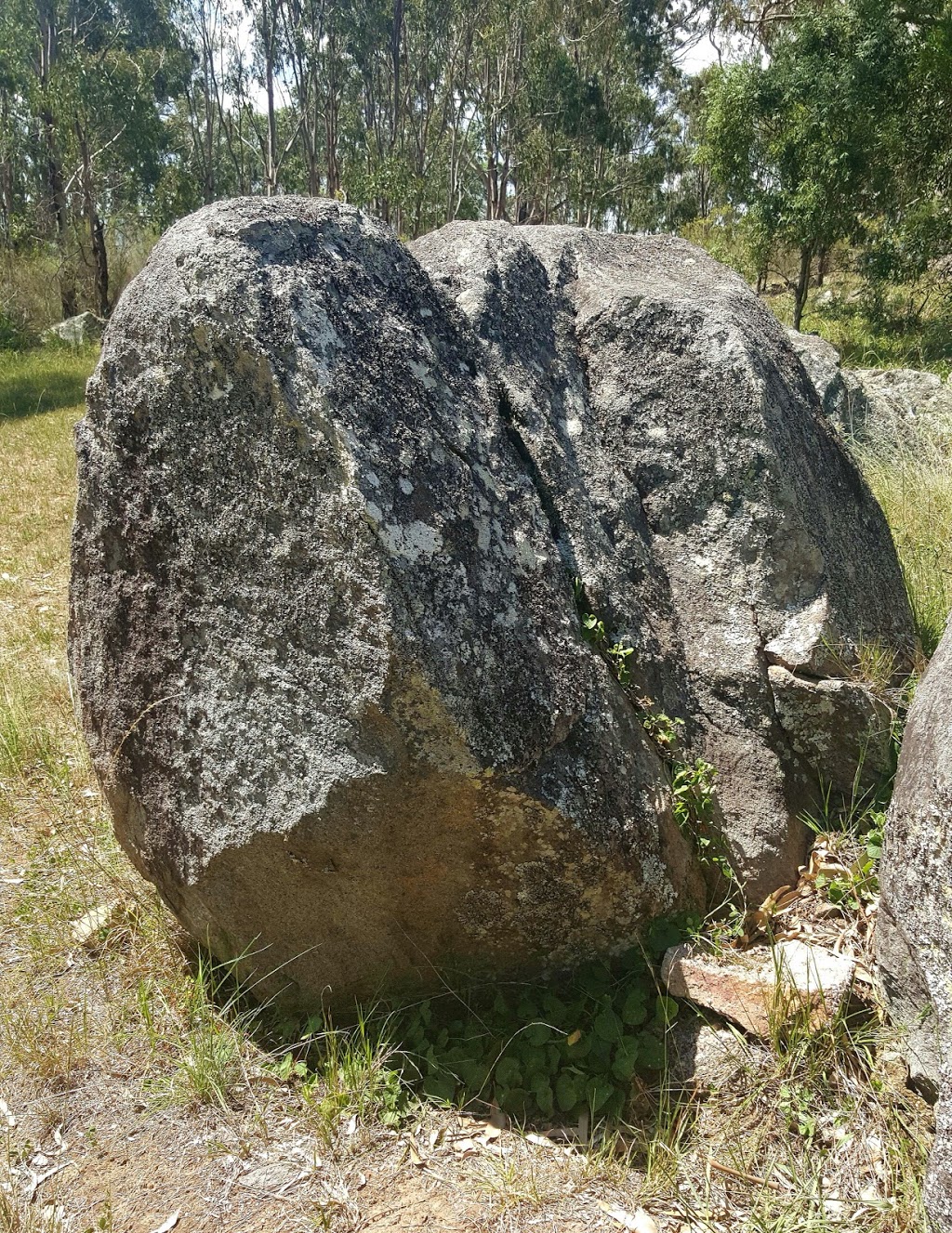 Tenterfield Park | park | Derby St, Tenterfield NSW 2372, Australia