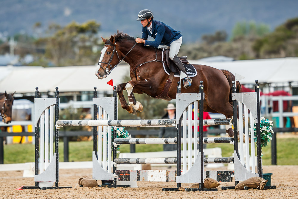 Boneo Park Equestrian Centre Pty Ltd |  | 312 Boneo Rd, Boneo VIC 3939, Australia | 0359863006 OR +61 3 5986 3006