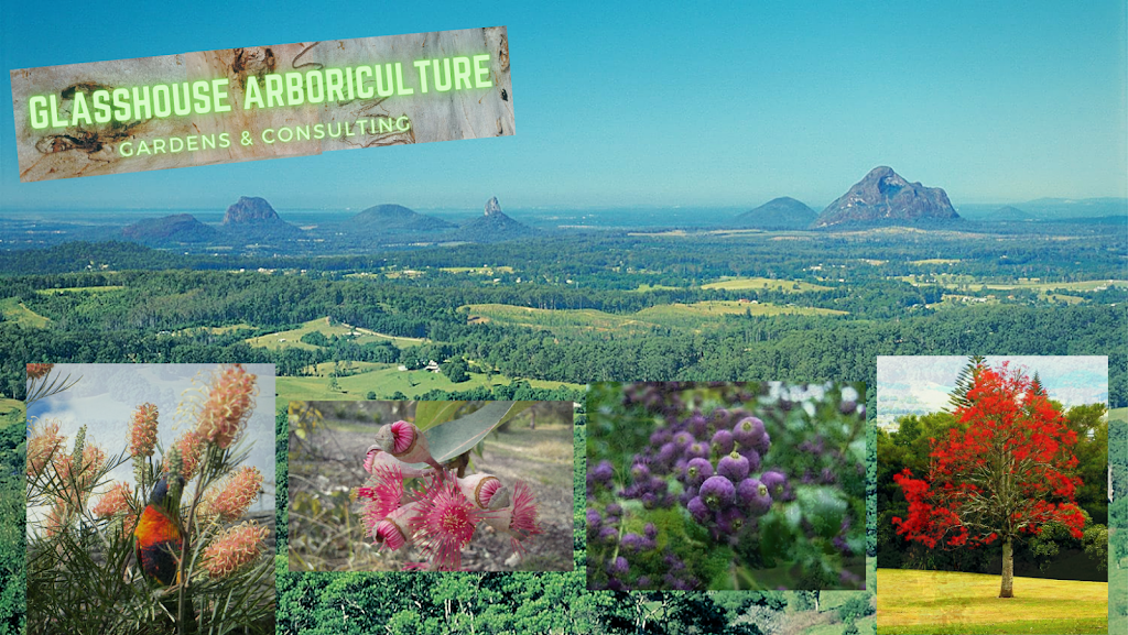 Glasshouse Arboriculture, Gardens & Consulting | Gheko Ridge Rd, Elimbah QLD 4516, Australia | Phone: 0432 115 048