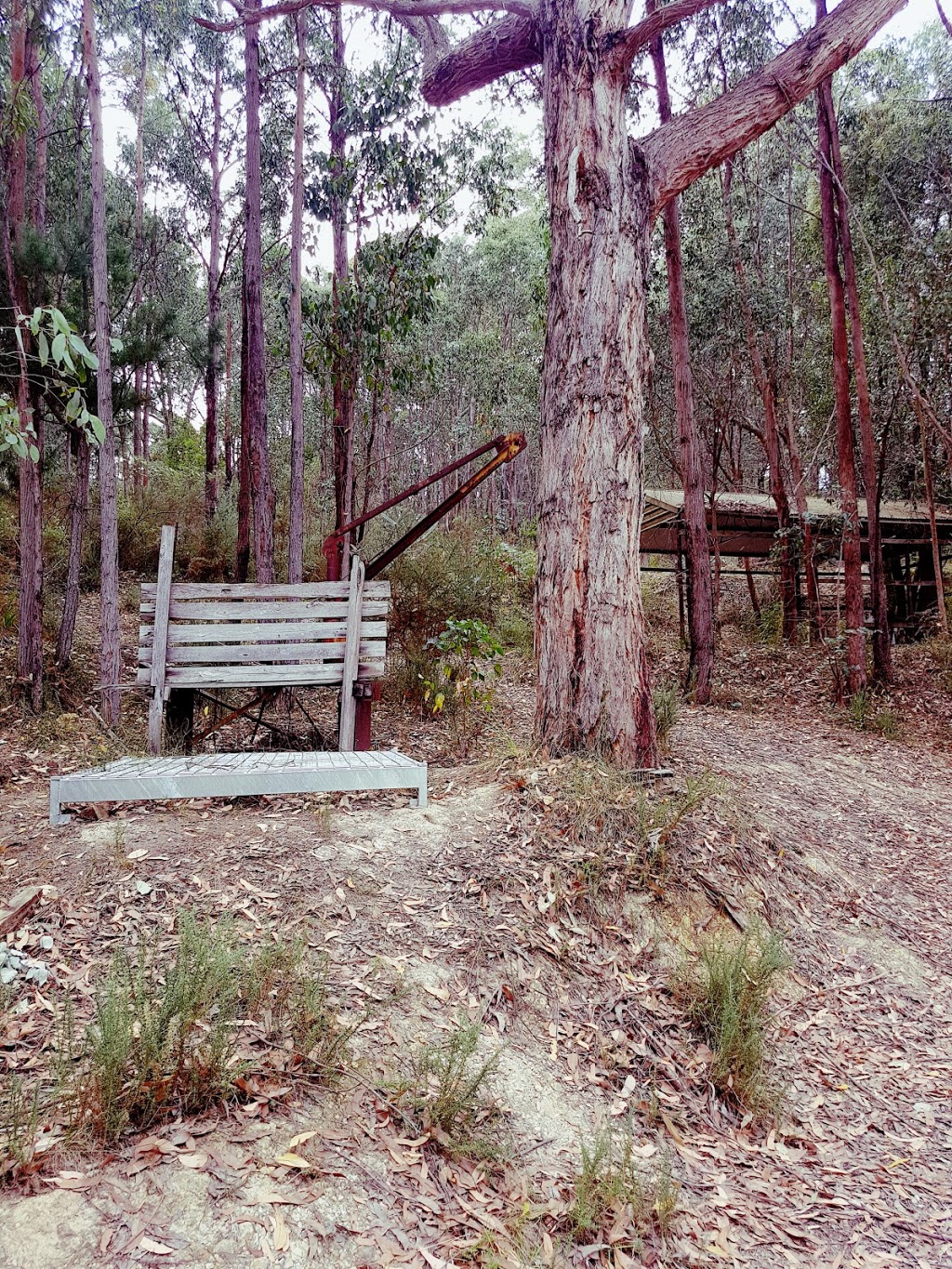 Tryconnell Mine | museum | Unnamed Road, Barrys Reef VIC 3458, Australia