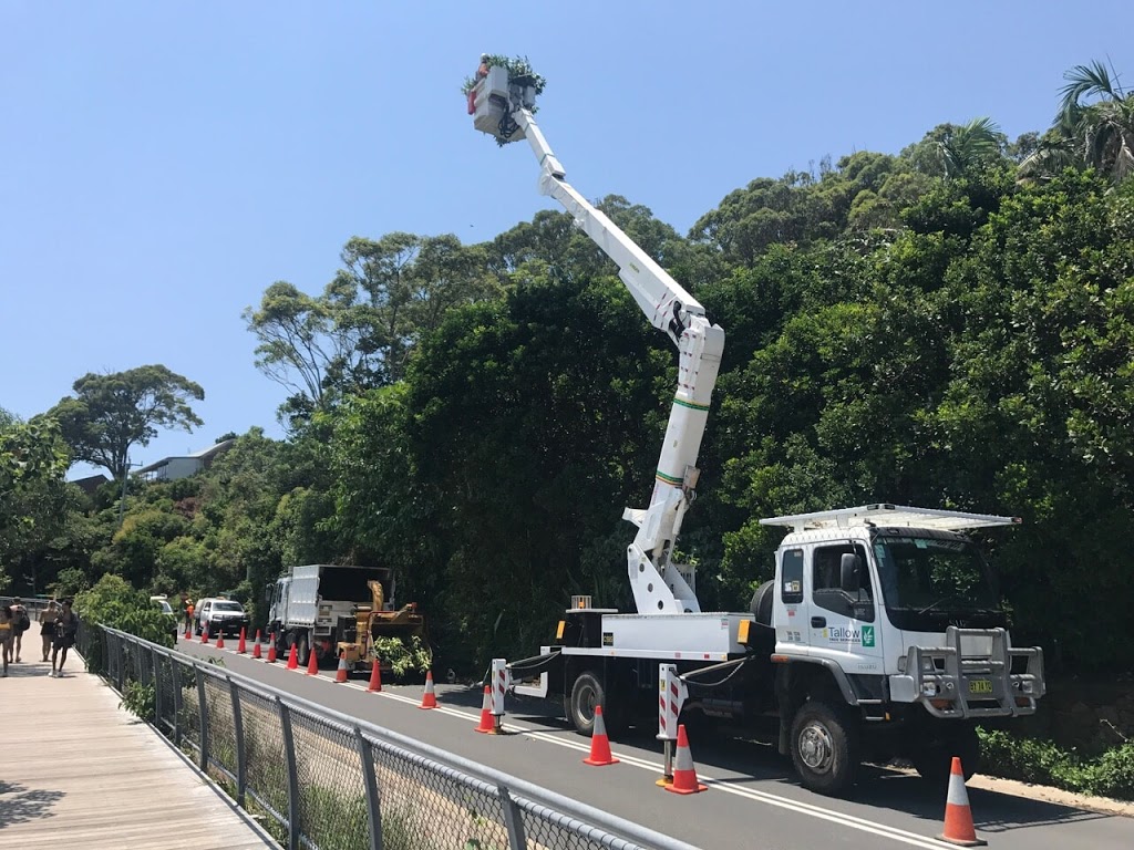 Tallow Tree Services - Byron Bay | 225 Lismore Rd, Bangalow NSW 2479, Australia | Phone: 0401 208 797