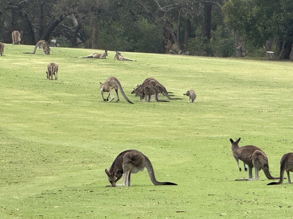 Nara Day Tour and Charter | 61 Grandvue Blvd, Officer VIC 3809, Australia | Phone: 0407 634 075