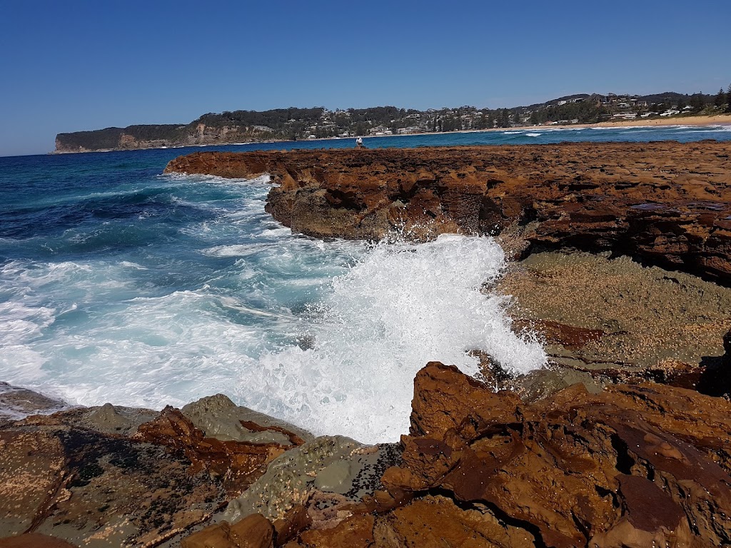 North Avoca Surf Life Saving Club | 46-50 N Avoca Parade, North Avoca NSW 2260, Australia | Phone: (02) 4384 3607