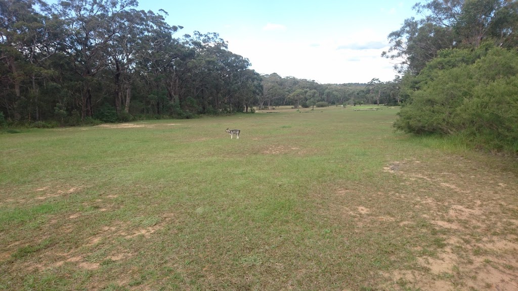 Former Lawson Golf Course | park | 48/78 Wilson St, Lawson NSW 2783, Australia | 0247805000 OR +61 2 4780 5000