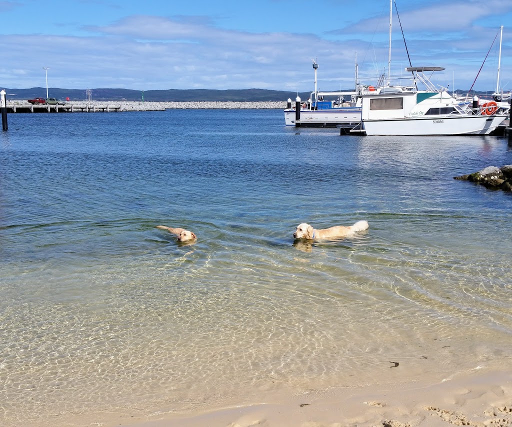 Albany Boat Shed | Princess Royal Dr, Albany WA 6330, Australia | Phone: (08) 9841 1597