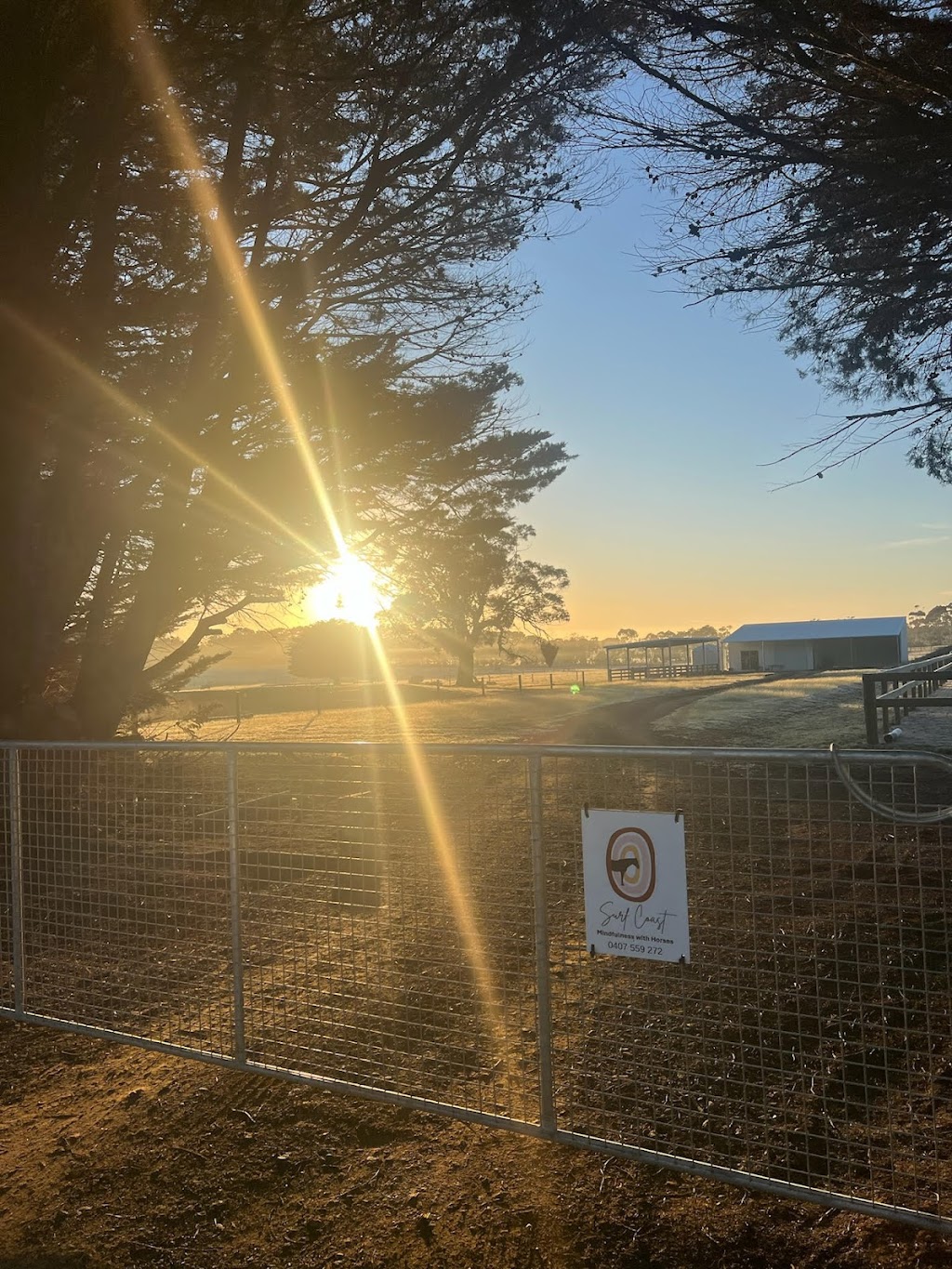 Surf Coast Mindfulness with Horses | 396 Thielemanns Rd, Gherang VIC 3240, Australia | Phone: 0407 559 272