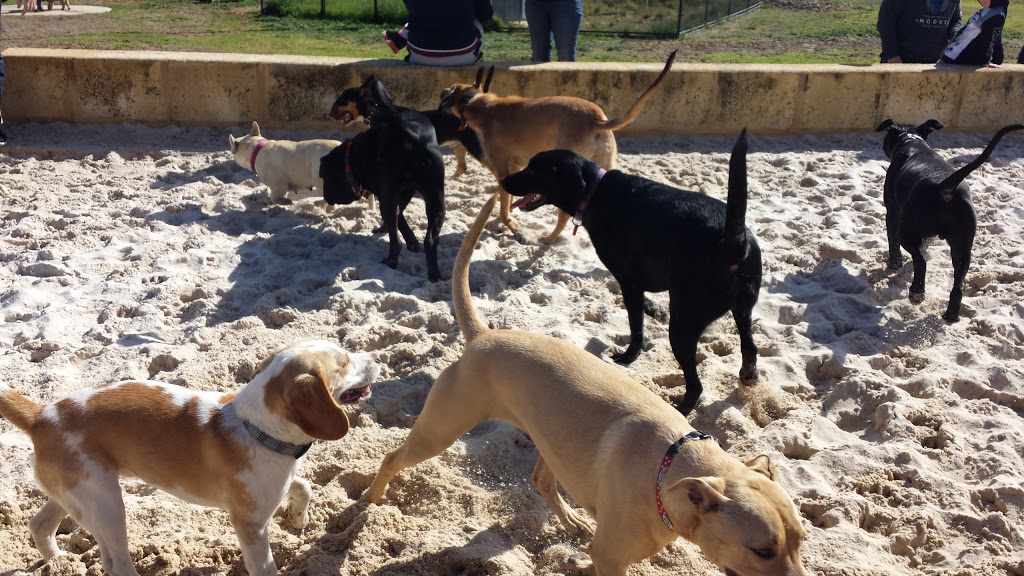 Inglewood Dog Park | 2 Stancliffe St, Mount Lawley WA 6050, Australia