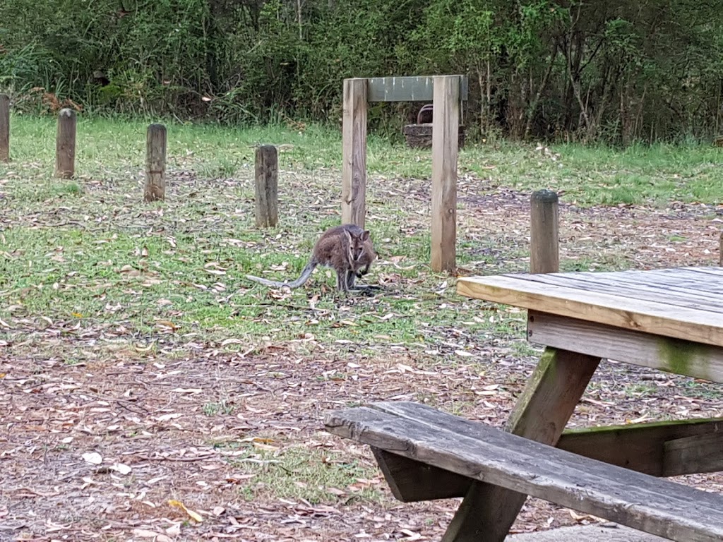 Cobboboonee National Park | Mt Deception Rd, Greenwald VIC 3304, Australia | Phone: 13 19 63