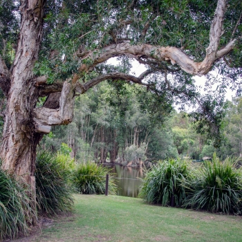 Murrook Cafe | 2163 Nelson Bay Rd, Williamtown NSW 2318, Australia | Phone: (02) 4033 8815
