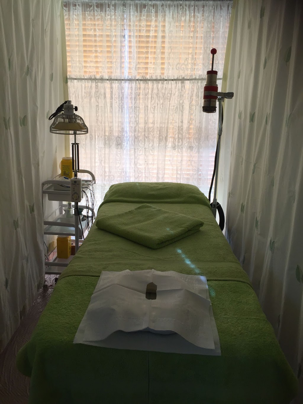 Acupuncture - Helen | 5 Hollington Cres, Point Cook VIC 3030, Australia | Phone: 0403 478 032