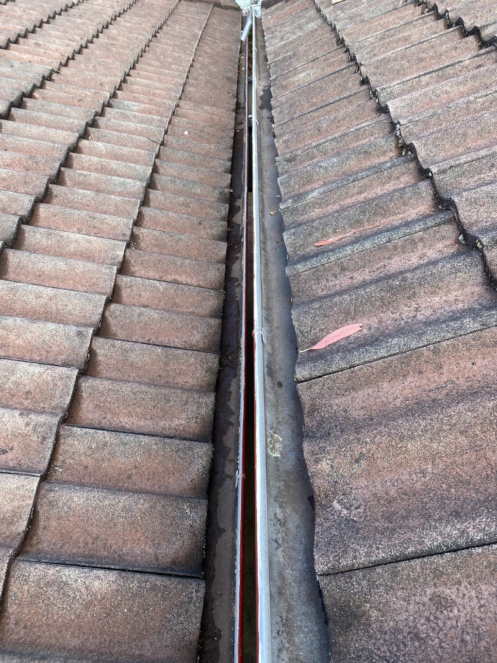 ProWash Gutter & Roof Cleaning PTY LTD | 80 Wilson Parade, Heathcote NSW 2233, Australia | Phone: 0450 965 706