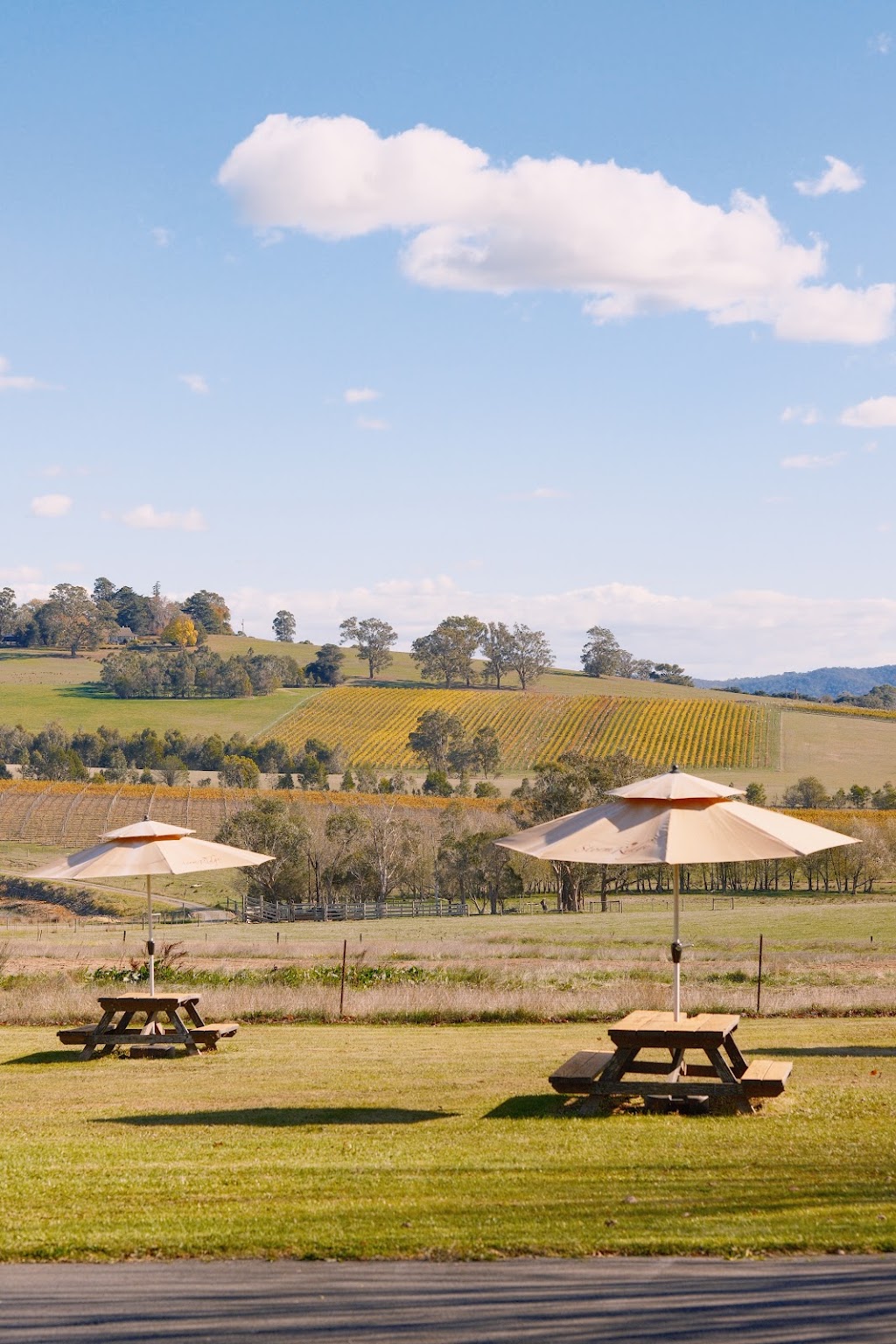 Storm Ridge Estate | 850/860 Maroondah Hwy, Coldstream VIC 3770, Australia | Phone: 0474 215 666