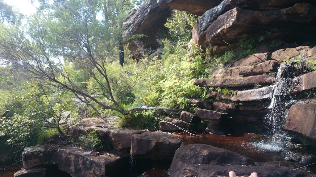 Sherwood Nature Reserve | park | Sherwood NSW 2450, Australia