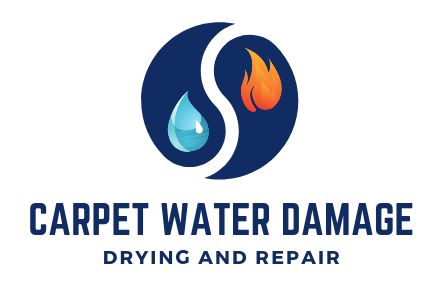 Carpet Water Damage Warehouse | laundry | 26 Station St, Dundas NSW 2117, Australia | 0428997684 OR +61 428 997 684