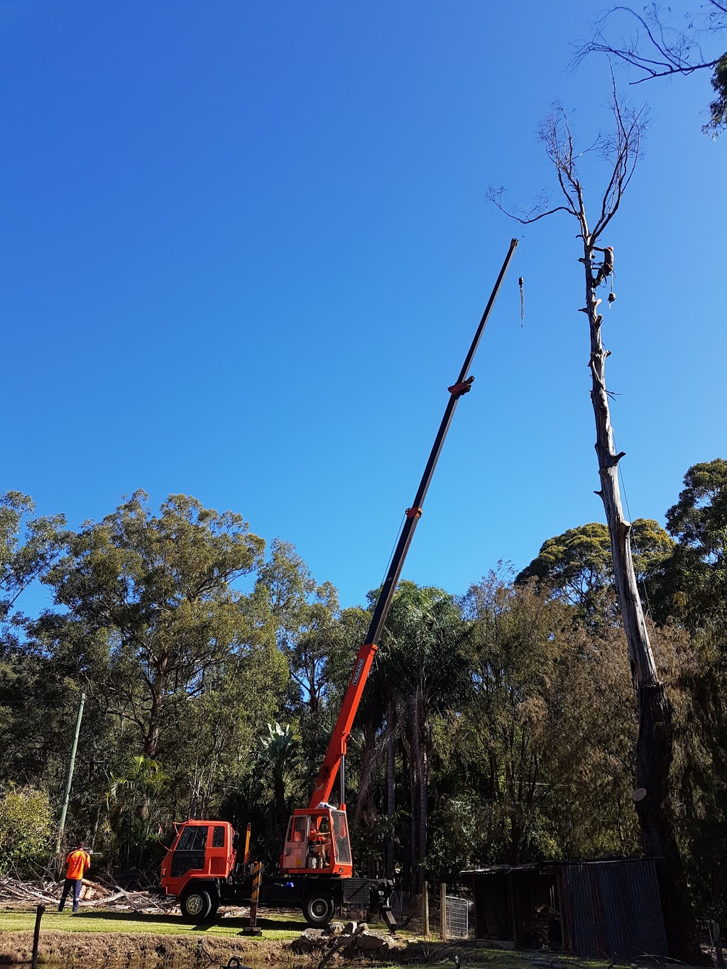 Beaus Tree Service | 9 Ginkers Way, Cooranbong NSW 2265, Australia | Phone: 0487 238 994