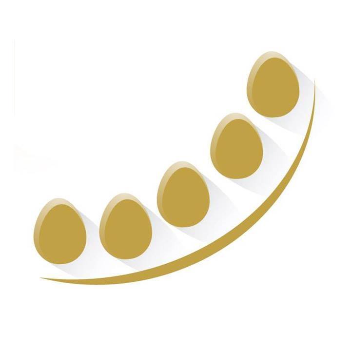 Golden Eggs Home Loans | finance | 19/Shop 46 The Italian Forum 19-23 Norton St, Leichhardt NSW 2040, Australia | 1300290802 OR +61 1300 290 802