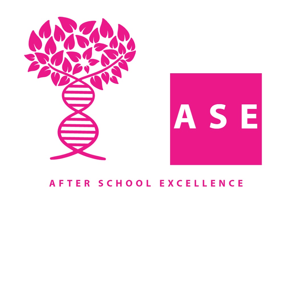 After School Excellence | 295 Maryland Dr, Maryland NSW 2287, Australia | Phone: 0431 665 538