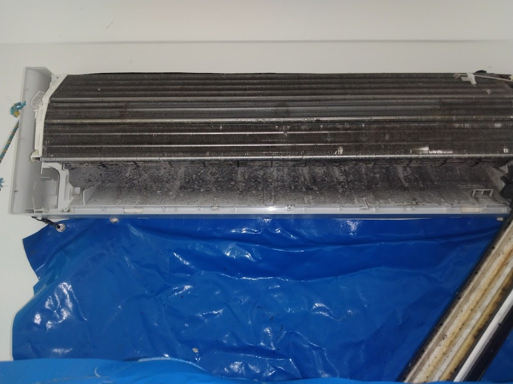 Bluemoon Aircon Cleaning Services | 6 Lakewood Pl, Zilzie QLD 4710, Australia | Phone: 0492 254 104