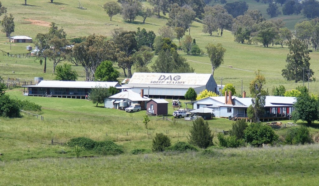 Dag Sheep Station | lodging | Crawney Rd, Nundle NSW 2340, Australia | 0267693486 OR +61 2 6769 3486