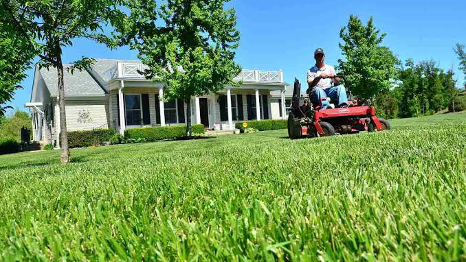 Lush Mowing and Maintenance |  | 52 Alan St, Marian QLD 4753, Australia | 0473464109 OR +61 473 464 109