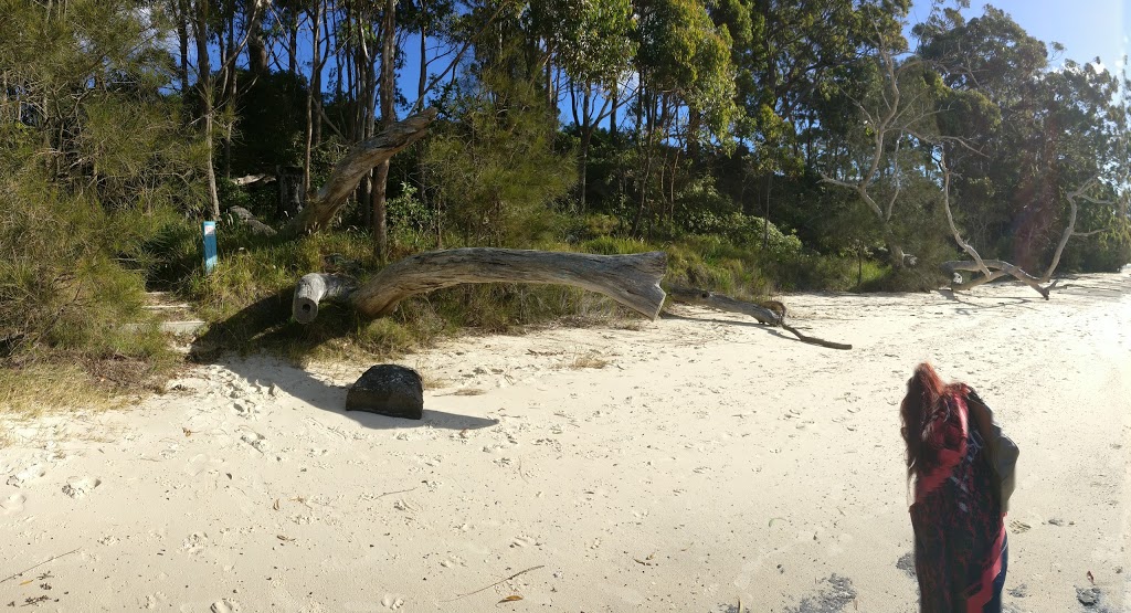 Beach next to White Sands Holiday park | campground | 1 Fegen St, Huskisson NSW 2540, Australia