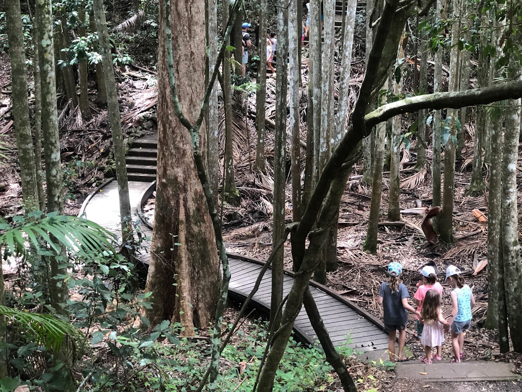 Mapleton Falls Lookout | tourist attraction | Mapleton Falls Rd, Mapleton QLD 4560, Australia | 137468 OR +61 137468