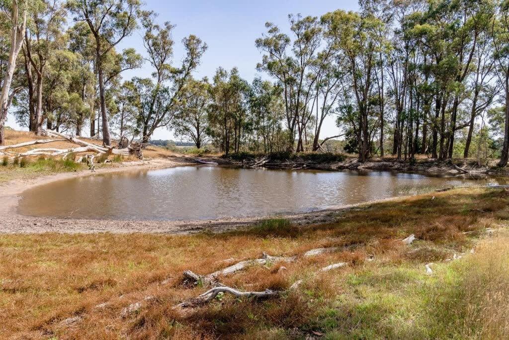 Tiny Divine Farmstay | S Conroy Rd, Bunding VIC 3342, Australia | Phone: 0474 328 277