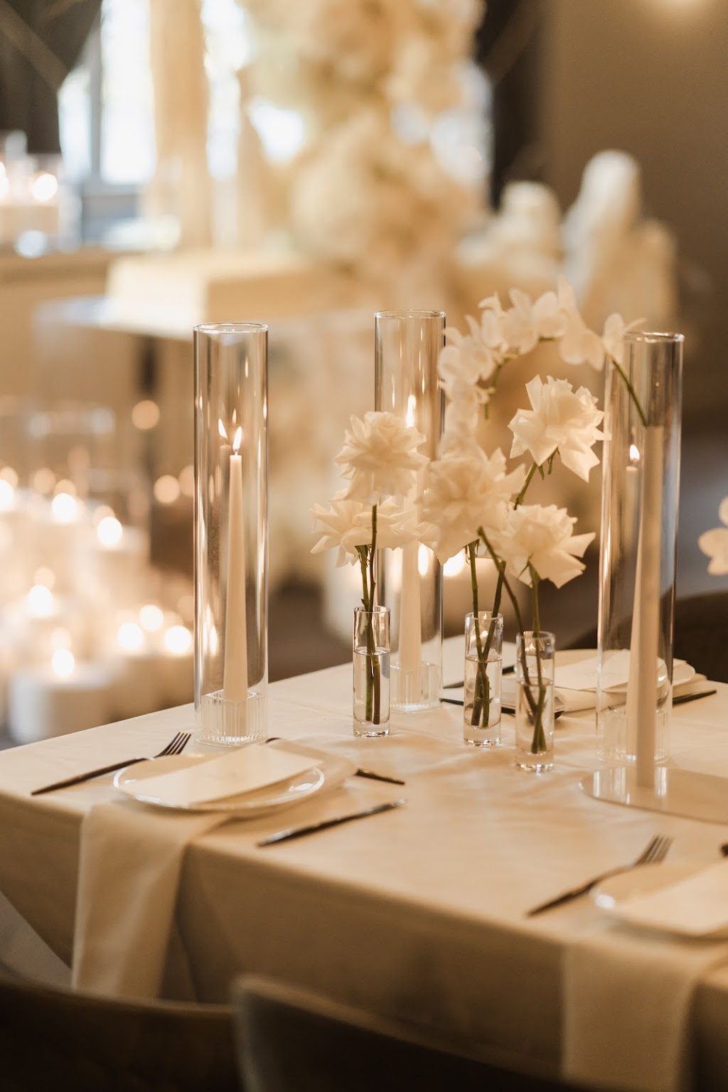 La Mèche | Menangle Park NSW 2563, Australia | Phone: 0423 398 035